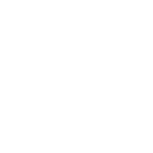 eurisy logo